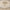07-Tan, variant on TWINNIS Area Rug for Living Room Persian Rug Vintage Boho Carpet for Bedroom,Blue,6'x9'