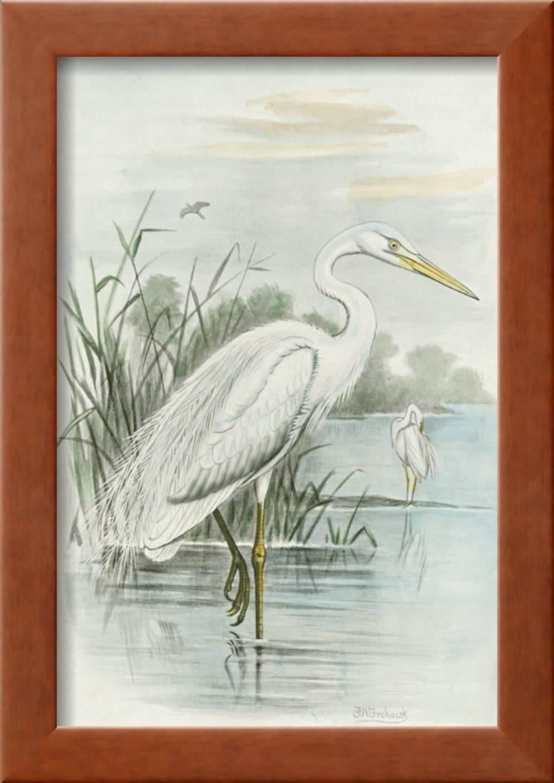 White Heron Framed Print Wall Art