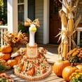 thumbnail image 6 of YuanGuangQ Thanksgiving Fall Maple Goose Outfit Goose Clothes for 23 in Cement or Plastic Geese Costume Dress for Yard Lawn Outdoor Garden Duck Statue Autumn Party Holiday Decor, 6 of 6