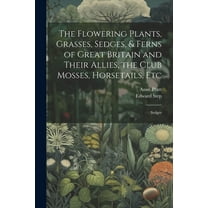 The Flowering Plants, Grasses, Sedges, & Ferns of Great Britain and Their Allies, the Club Mosses, Horsetails, Etc (Paperback)