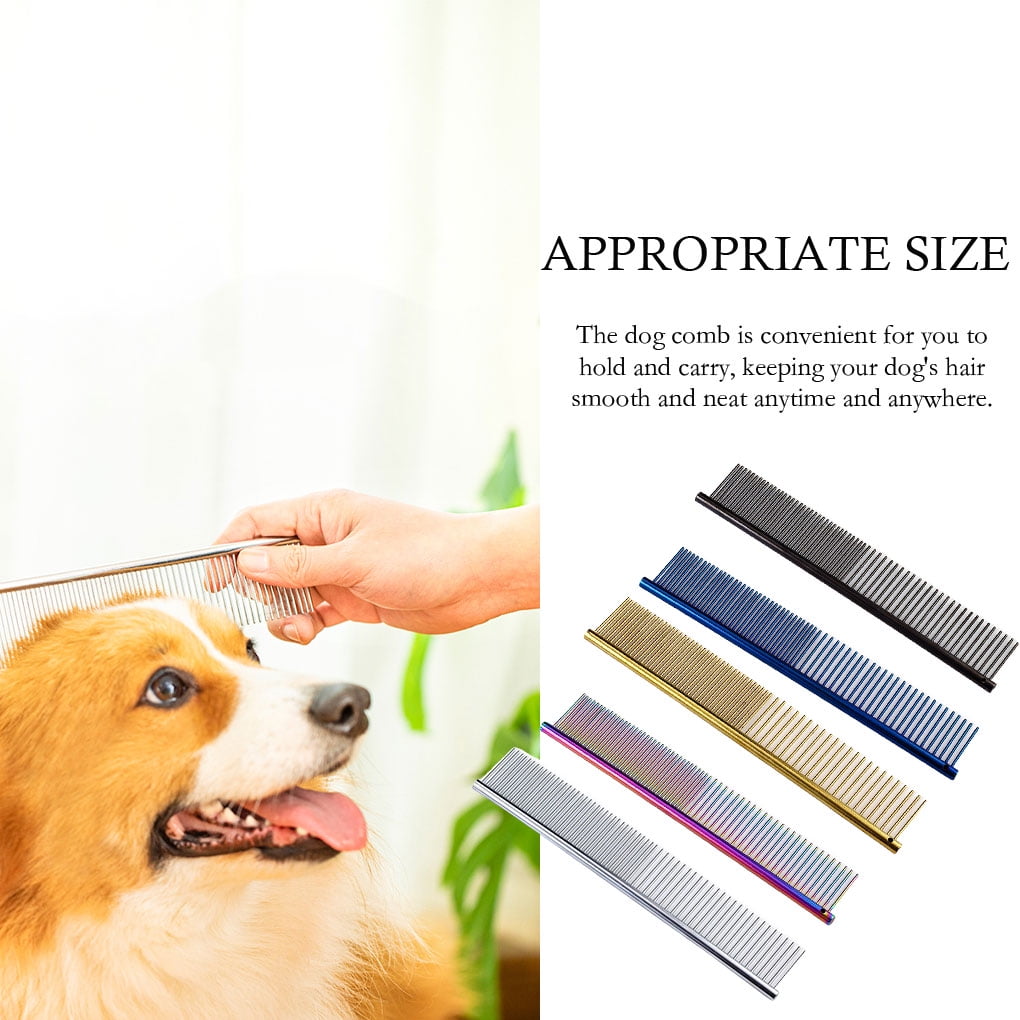 Can Dog Take A Bath Everyday