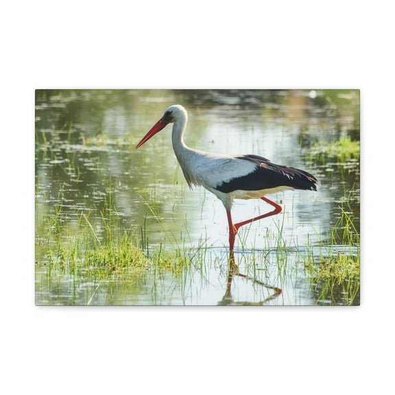 Stork Hunting Stork on Hunt Print Animal Wall Art Wildlife Canvas Prints Wall Art Ready to Hang Unframed