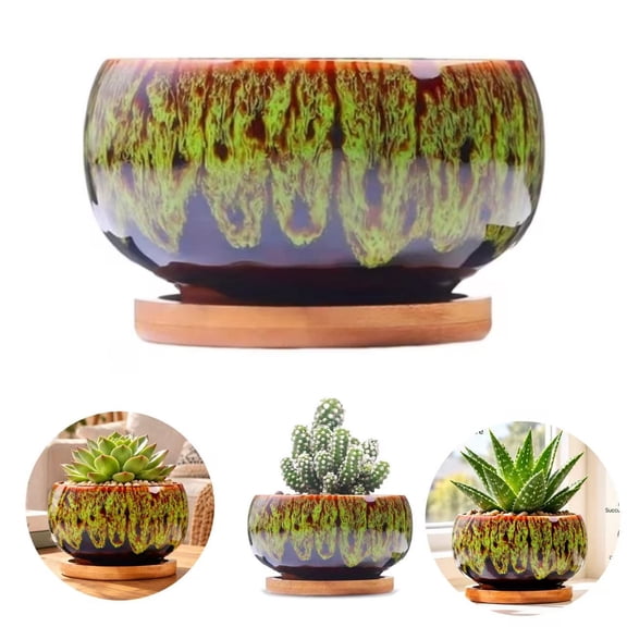 Gaoxin Ceramic Succulent Pot, Large Round Shallow, with Drainage Hole and Saucer, for Indoor Outdoor Cactus Garden, Plant Not Included