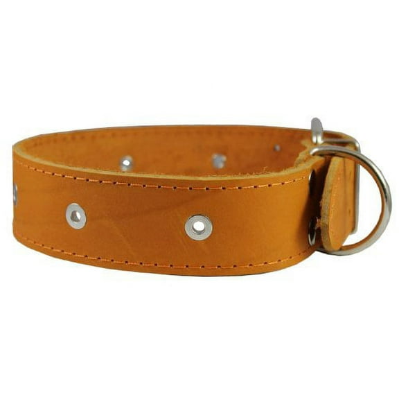 High Quality Genuine Leather Studded Dog Collar Tan 1.75" Wide. Fits 18.5"-22" Neck.For Large Breeds Rottweiler, Amstaff.