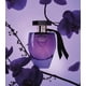 thumbnail image 5 of Muy sexy orqu�dea Eau de Parfum Rollerball por Victorias Secret Victoria's Secret Model, 5 of 5