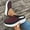 Black, variant on Hoshose New Summer Women Slippers Casual Walking Non Slip Women Wedge Slide Slipper Arch Support Indoor Outdoor