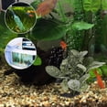 thumbnail image 5 of Greenadscape Planta Decorativa Artificial Para Acuario Para Oficina Y Del Hogar, 5 of 5