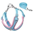 thumbnail image 2 of Dog Harness and Leash Set Soft Mesh Vest Easily Control for Outdoor Training L, 2 of 6