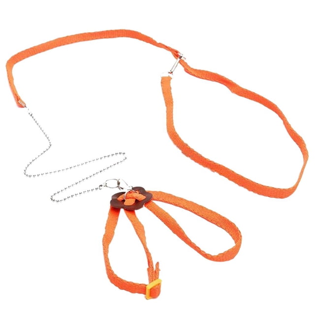 Arnés Ajustable de Correa Cuerda para Afuera 7 - Naranja Colco Arnés para reptiles