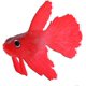 thumbnail image 4 of Peces falsos, peces artificiales falsos, decoración de peces de acuario, adornos artificiales de acuario falso, acuario de peces artificiales de silicona divertido (pez Betta rojo) JAMW Sencillez, 4 of 5