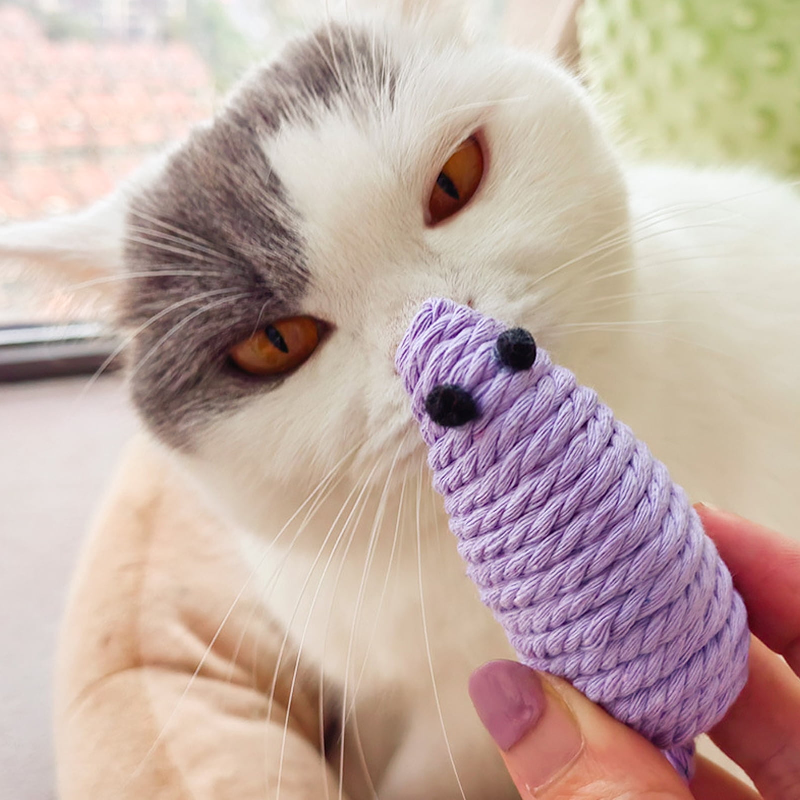 Cat Toy Cotton Cat Toy Interactive 4Pcs for Outdoor Little Mouse
