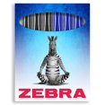 thumbnail image 2 of Zebra Fuente Pen - Disposable Fountain Pens - Pack of 6 - Black & Blue Ink - In Zebra Cardboard Gift Box, 2 of 5