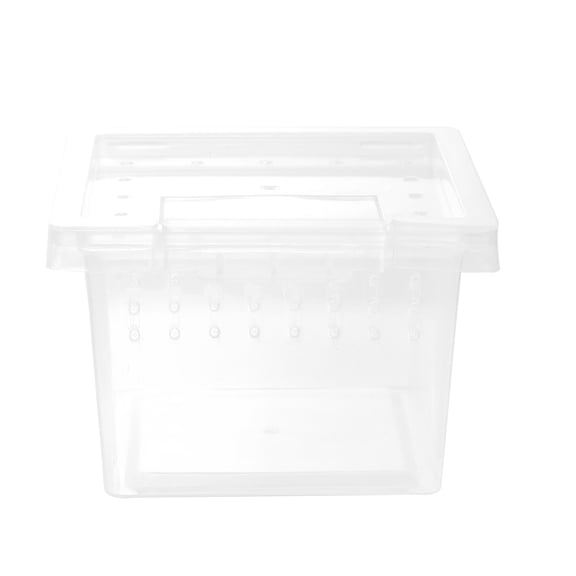KAKOWELY Caja Para Cría De Reptiles Con Espacio Amplio Y Ventilación Para Protección De Mascotas