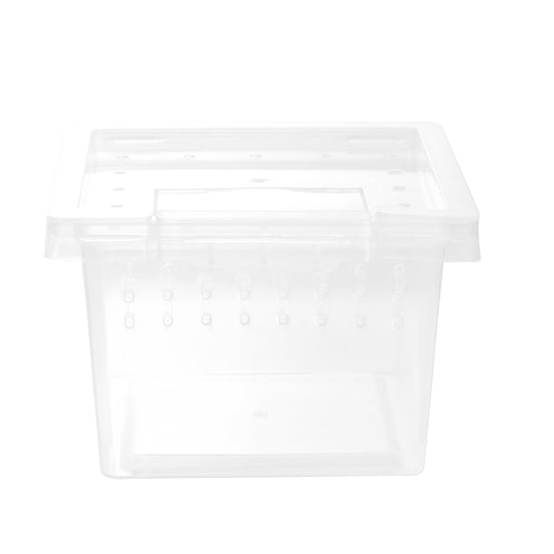 EeaseMX Transparente reptil terrario Alimentación caja de plástico reptil Cría Suministros caja del animal doméstico