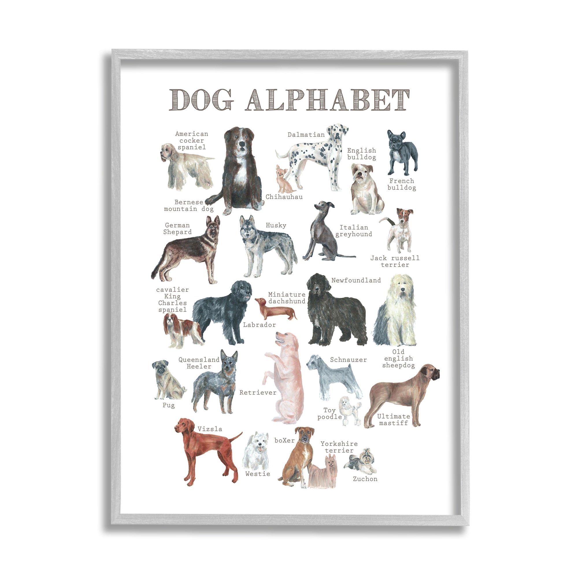 Stupell Industries Dog Alphabet Multiple Breeds Educational Animals Chart Graphic Art Gray Framed Art Print Wall Art, Design by Dishique