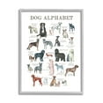 thumbnail image 4 of Stupell Industries Dog Alphabet Multiple Breeds Educational Animals Chart Graphic Art Gray Framed Art Print Wall Art, Design by Dishique, 4 of 5