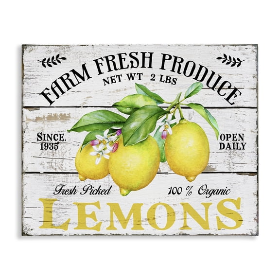 Stupell Industries Farm Fresh Produce Lemons Food & Beverage Painting Wrapped Canvas Art Print Wall Art, 20 x 16