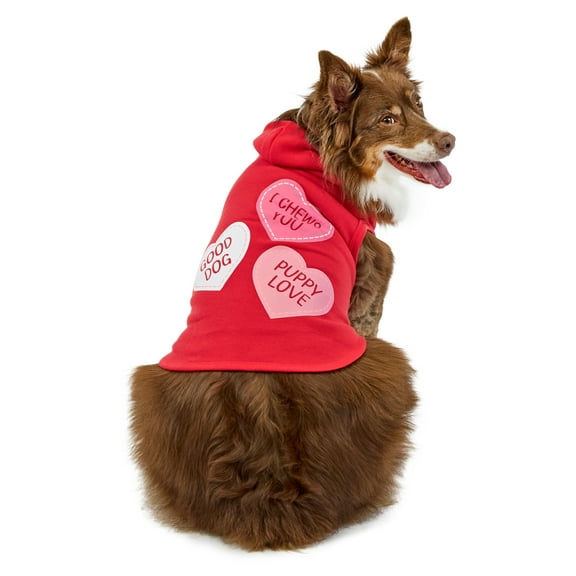 Vibrant Life Valentine's Pet Hoodie for Dogs, Conversation Hearts, Red, Medium