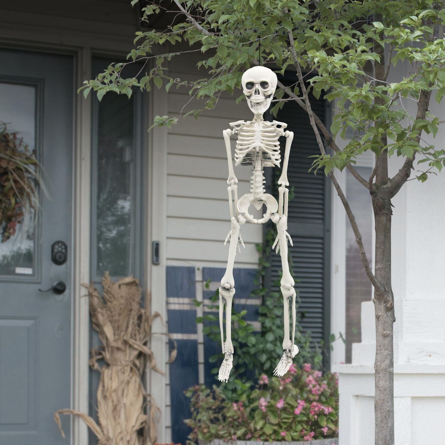 WAY TO CELEBRATE SQUELETTE - COULEUR OS