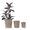 Antique Yellow, variant on mdj pottery 3pcs Deep Dark Brown Horizontal Rib Ceramic Planter Set, 16/13/10 Inch, Breathable Clay for Monstera Fiddle Leaf Fig, Indoor Outdoor Decor