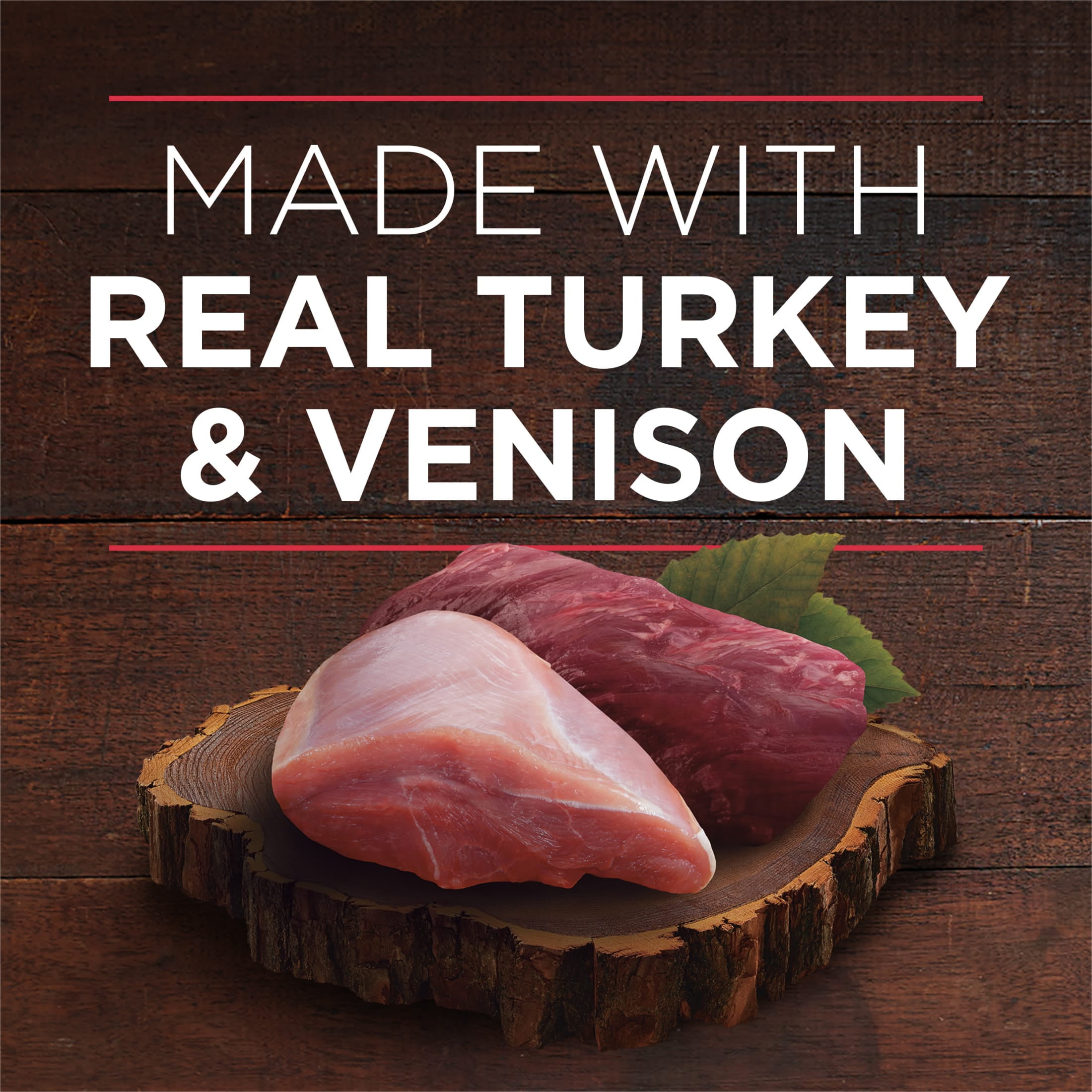 (12 pack) Purina ONE True Instinct Wet Dog Food, High Protein Soft Turkey & Venison, 13 oz Can
