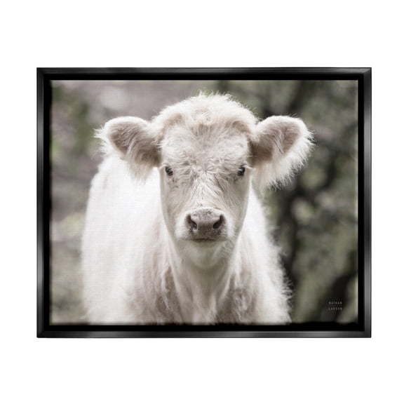 Stupell Industries White Cow Calf Portrait Animals & Insects Photography Black Floater Framed Art Print Wall Art, 21 x 17