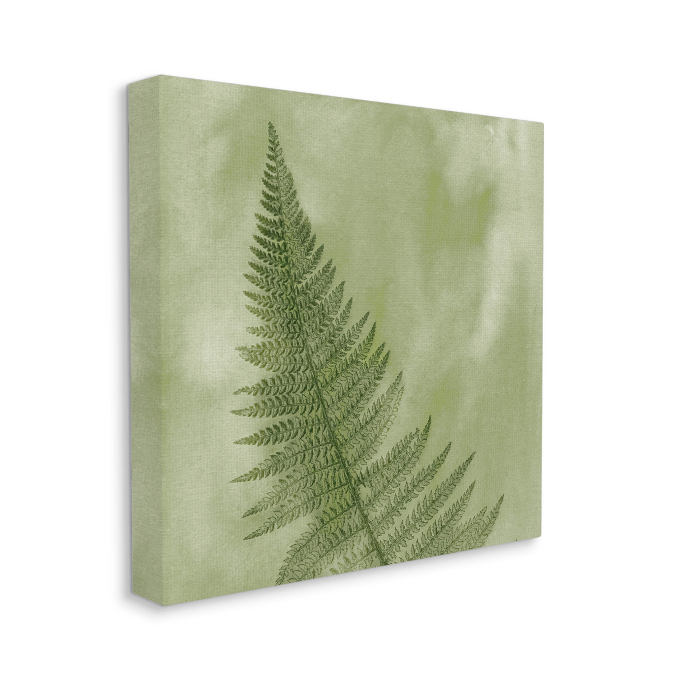Modern Fern Nature Plant Botanical & Floral Graphic Art Gallery Wrapped Canvas Print Wall Art