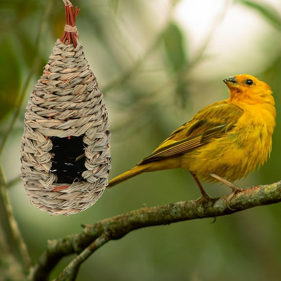 FRCOLOR  2 Pcs Birdhouses Decoration Straw Nest Cages for Birds