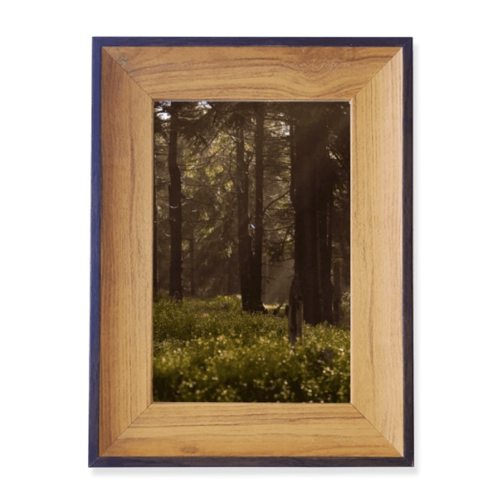 Dark Forestry Science Nature Scenery Photo Frame Exhibition Display Art ...