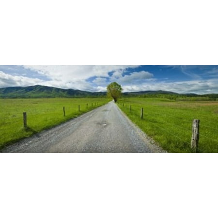 Country gravel road passing through a field Hyatt Lane Cades Cove Great Smoky Mountains National Park Tennessee USA Canvas Art - Panoramic Images (15 x