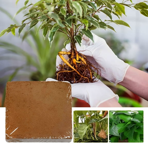 ZULAR Premium Coconut Coir Fiber Brick,Organic Coco Coir for Plants Gardening,Seed Starter Soila and Mulch,Eco-Friendly,Coconut Fiber Mixes with Potting Soil for Indoor Outdoor Plants