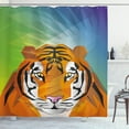 thumbnail image 1 of Safari Shower Curtain, Illustration of a Portrait Animal Artwork of a Tiger Staring Wild Jungle Creatures, Fabric Bathroom Set with Hooks, 69W X 75L Inches Long, Multicolor, by Ambesonne, 1 of 3