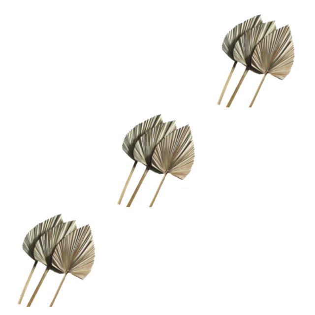 Wosthever 3 unids/set hoja de palma Natural para decoración del hogar-lanzas de palma secas naturales multifuncionales y duraderas 20 cm * 25 cm 20cm*25cm 3Conjunto