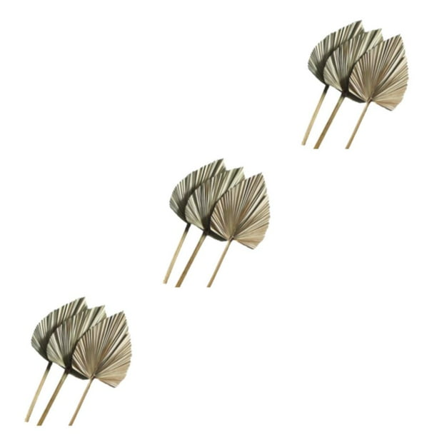 Wosthever 3 unids/set hoja de palma Natural para decoración del hogar-lanzas de palma secas naturales multifuncionales y duraderas 20 cm * 25 cm 20cm*25cm 3Conjunto