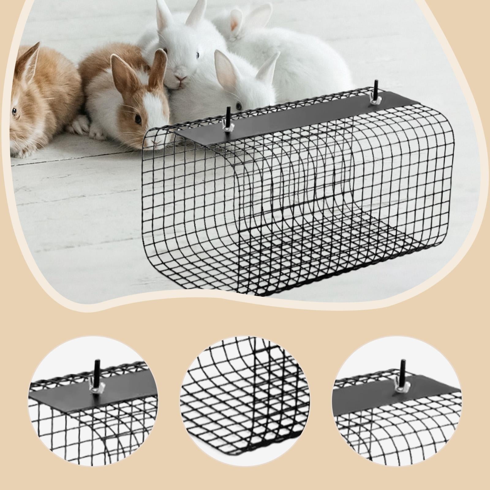 CarpNettore Ferret Hamster Tunnel Home Pet Tunnel House for Rats Ferrets Syrian Hamsters