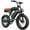 Green, variant on 1500W Peak Electric Bike,20*4.0" Fat Tire Fat Tire E-Bike with Dual 48V Battery,Suspension ForkGreen