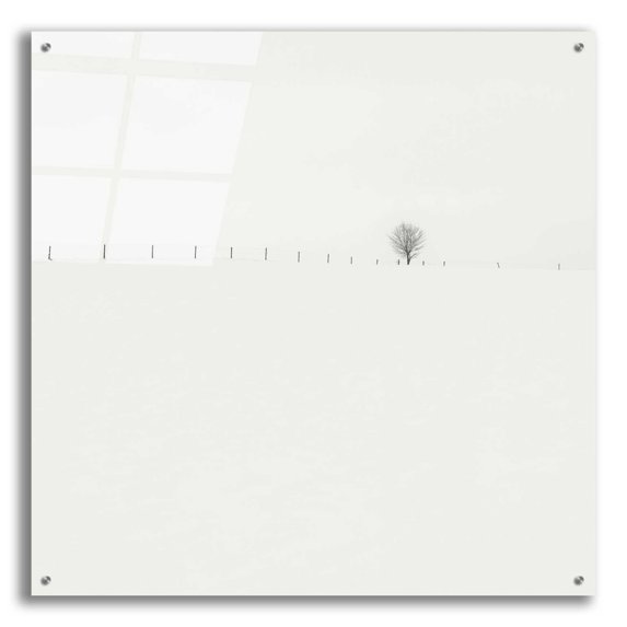 Epic Art 'Frozen Landscape' by Wilco Dragt, Acrylic Glass Wall Art, 36"x36"