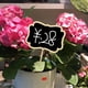 thumbnail image 3 of Pizarra Pequeña Xihbxyly para Decoración de Plantas y Flores, 3 of 6