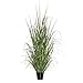 thumbnail image 3 of Vickerman TN170136 X200 Everyday Grass On Pot - 36 in., 3 of 4