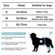 thumbnail image 5 of Paquete de 3 pañales lavables reutilizables para perros, pantalones fisiológicos para perros altamente absorbentes, pañales sanitarios para prevención de acoso de mascotas, pantalones fisiológicos MFZFUKR 222973-1, 5 of 8