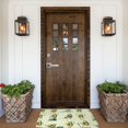 thumbnail image 6 of Disketp Avocado For Exercise Mat For Front Door Outside - Doormat Outdoor Entrance - Welcome Mats Outdoor,Outside Entry And Outdoor Entrance 16''X24'', 6 of 9