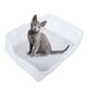 thumbnail image 5 of 20 piezas caja de arena para gatos de nailon, bolsa de filtro, desodorización, herramienta higiénica de limpieza para gatitos, suministros para mascotas, 20 piezas, 5 of 5