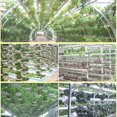thumbnail image 2 of Ollas 50 macetas de malla hidropónica sin suelo, clon de vivero, cesta de red para plantar (32) Wdftyju Libre de BPA, 2 of 4
