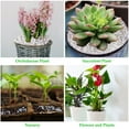 thumbnail image 2 of 4 Quarts Organic Horticultural Perlite for Plants Indoor- Natural Horticultural Soil Additive Conditioner Mix for Improves Drainage, Ventilation and Root Growth, 2 of 7