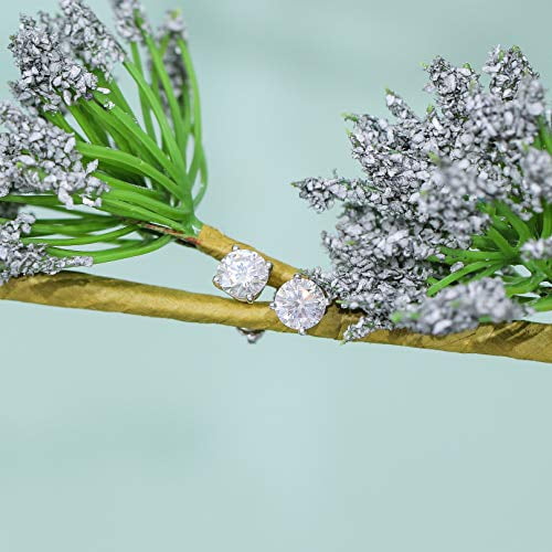 Doveggs earrings on sale