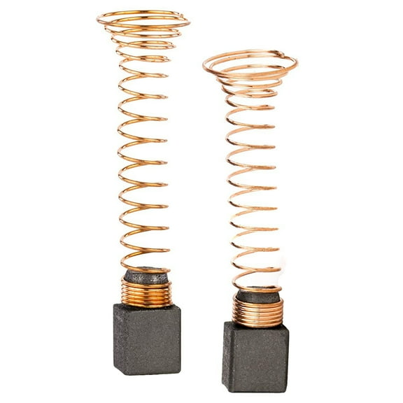 Bosch 2610009829 Brush and Spring Set