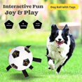 thumbnail image 2 of Pelota De Fútbol Para Perros, Pelota Interactiva para Mascotas para Interiores Y Exteriores, Regalos De Cumpleaños para Cachorros, Juguete De Agua para Perros Duradero Y Divertido, Juego De, 2 of 5