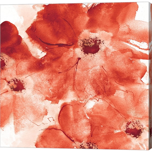 Seashell Cosmos I Red and Orange by Chris Paschke, Canvas Wall Art