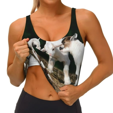 Qokaie Cute Goat Baby Pattern Womens Scoop Neck Sports Bra Breathable Workout Vest Padded U Back Medium Impact Fitness Gym Yoga Bra Workout Crop Top