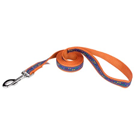 - Country Brook Design® 1 Inch Rainbow Paws and Bones Ribbon on Orange Dog Leash Limited Edition - 6 Foot